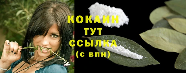 стаф Арсеньев
